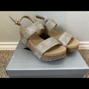 Very Volatile Wedges